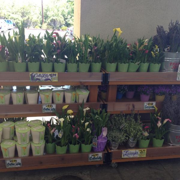 Photo taken at Trader Joe's by Sharelle L. on 6/19/2013