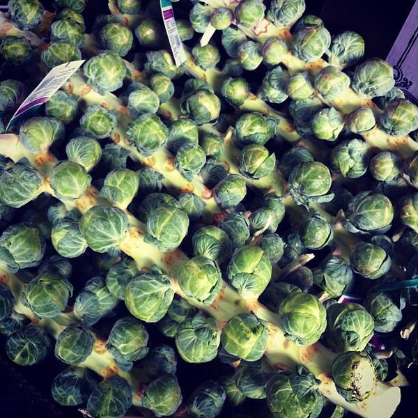 Photo taken at Trader Joe's by Brittany K. on 9/14/2012