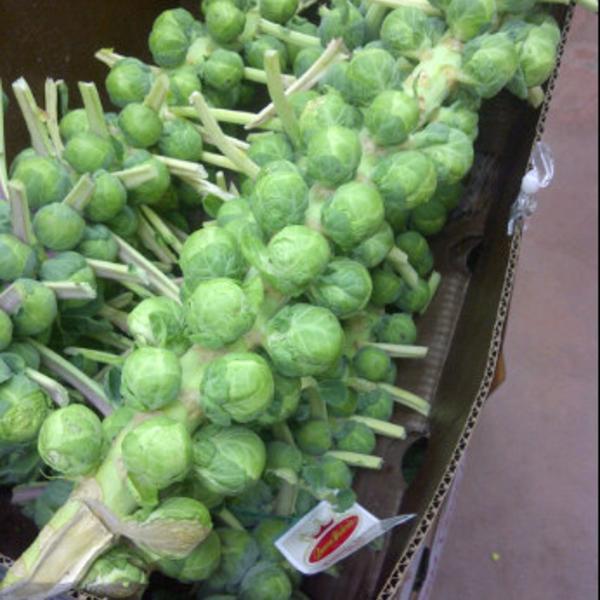 Photo taken at Trader Joe's by Kim on 12/2/2011-康涅狄格州奥林奇波士顿邮报路560 Photo taken at Trader Joe's by Kim on 12/2/2011