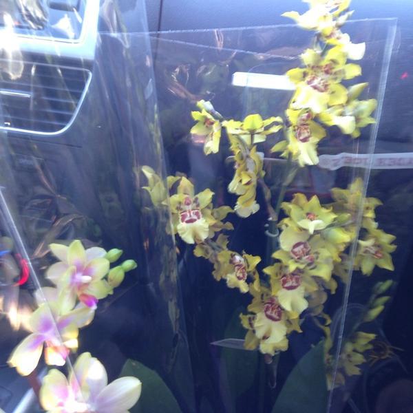 Photo taken at Trader Joe's by Eric S. on 11/16/2013