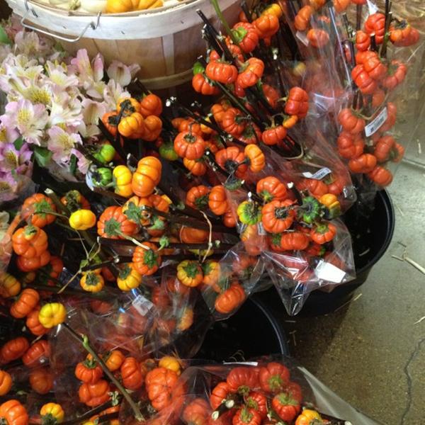 Photo taken at Trader Joe's by Yoko M. on 10/14/2012