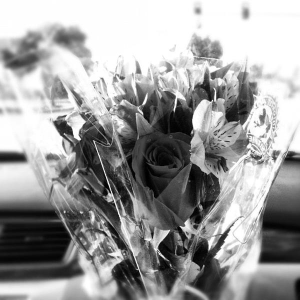 Photo taken at Trader Joe's by Nicholas Adam O. on 8/13/2012