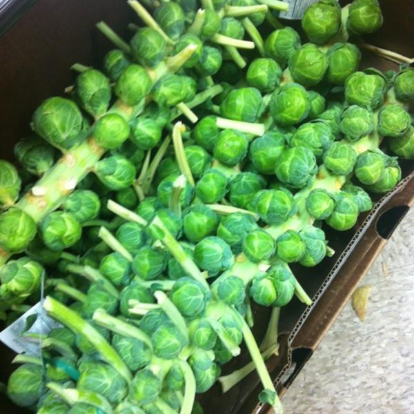 Photo taken at Trader Joe's by Dimka on 11/5/2011