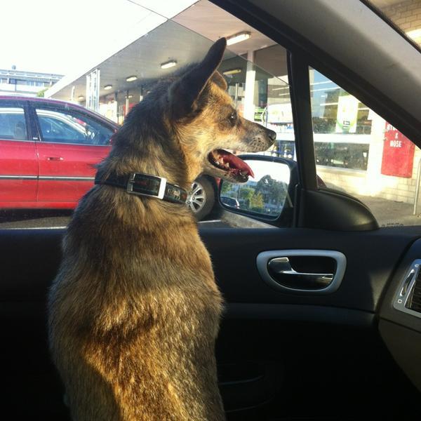 Photo taken at Woolworths by Stephanie L. on 1/6/2013