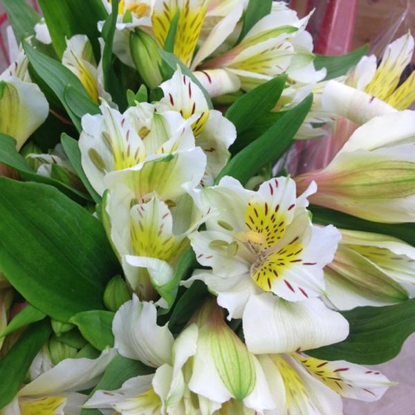 Photo taken at Trader Joe's by Gary M. on 5/3/2012-美国阿利桑那州图森威尔莫特路北1101 Photo taken at Trader Joe's by Gary M. on 5/3/2012