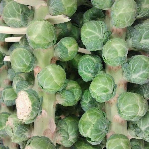 Photo taken at Trader Joe's by Andi S. on 11/12/2011-俄亥俄 都柏林锯木厂路6355(在都柏林-威路) Photo taken at Trader Joe's by Andi S. on 11/12/2011