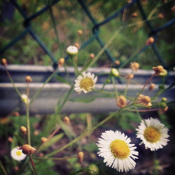 Photo taken at 홈플러스 / Home plus by Baburam K. on 8/26/2013