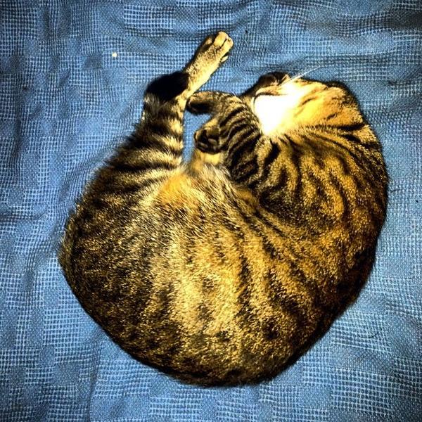 Photo taken at Lidl by Ian I. on 9/1/2012