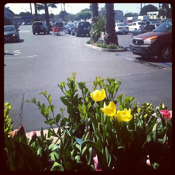 Photo taken at Trader Joe's by gno m. on 4/7/2013