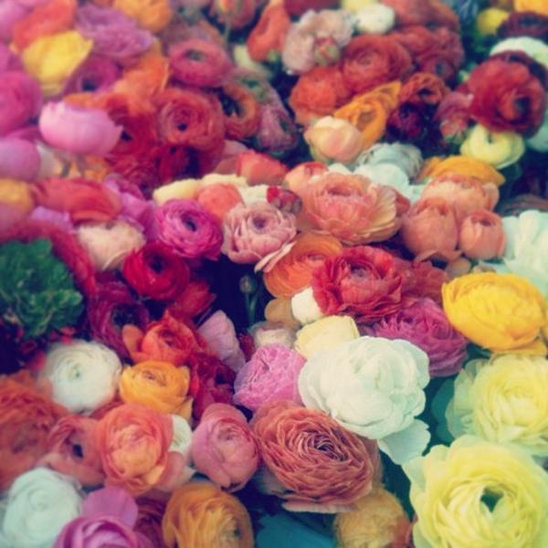 Photo taken at Trader Joe's by Jose K. on 4/20/2013-加尼福尼亚旧金山雍大街3(在吉里大道) Photo taken at Trader Joe's by Jose K. on 4/20/2013