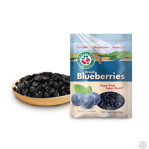 Graceland Fruit 蓝莓果干 40克