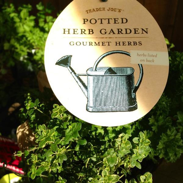 Photo taken at Trader Joe's by Carrie N. on 1/9/2013-密苏里州圣刘易斯城布伦特伍德中心48号 Photo taken at Trader Joe's by Carrie N. on 1/9/2013