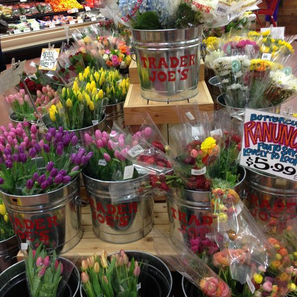 双层咖啡壶Trader Joe's乔氏连锁纳什维尔店图片库 双层咖啡壶Trader Joe's乔氏连锁纳什维尔店图片库