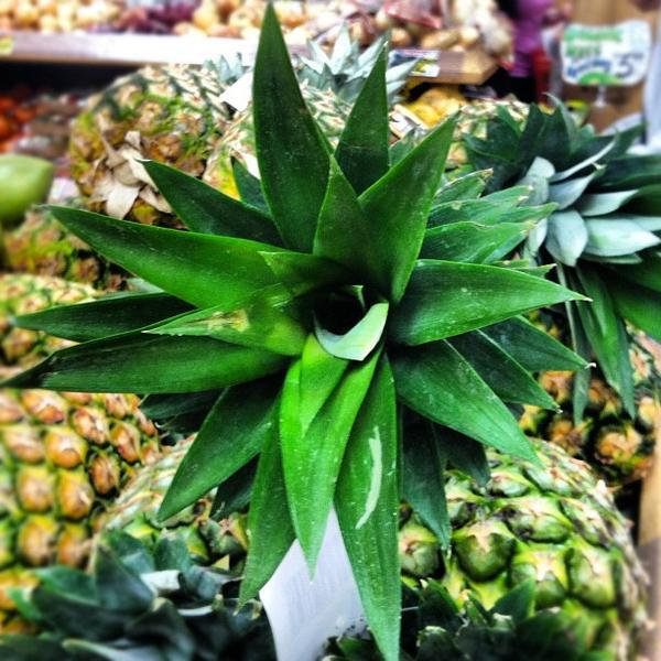 Photo taken at Trader Joe's by Carmelle P. on 5/13/2012