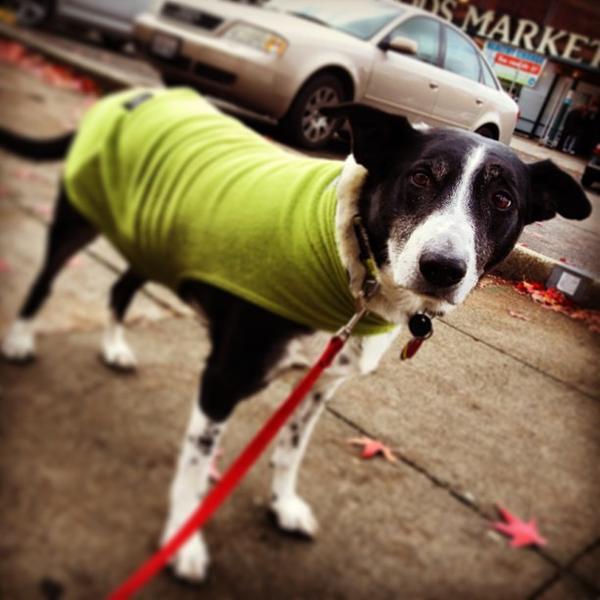 Photo taken at Whole Foods Market by Kouros M. on 1/6/2013-加利福尼亚州伯克利阿什比大路电报大道3000号 Photo taken at Whole Foods Market by Kouros M. on 1/6/2013