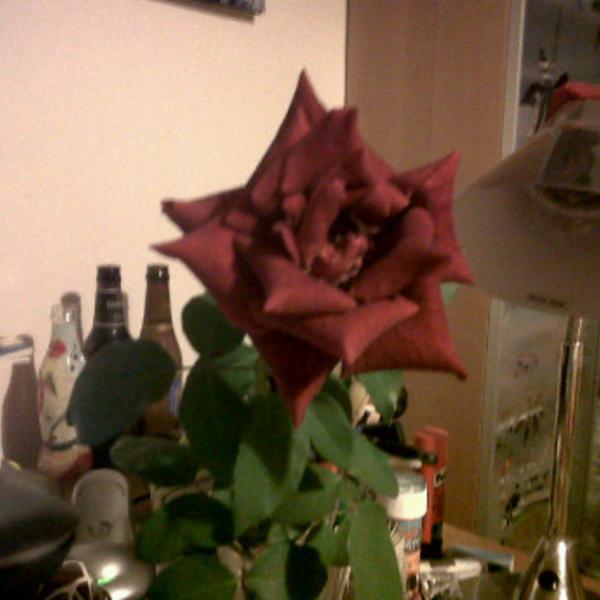 Photo taken at Coop by Susanna M. on 9/20/2011