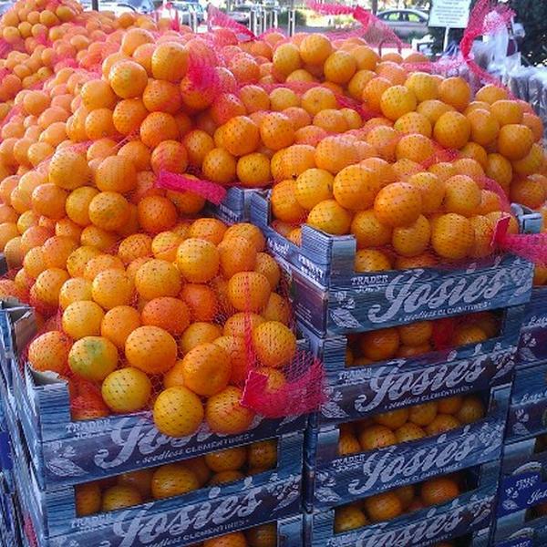 Photo taken at Trader Joe's by Heather R. on 11/13/2012-美国加利福尼亚州费利蒙淘金路39324 Photo taken at Trader Joe's by Heather R. on 11/13/2012