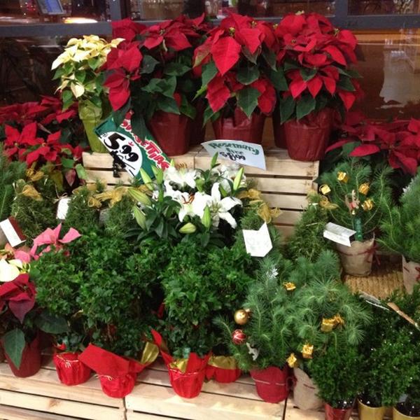 Photo taken at Trader Joe's by Yoko M. on 12/17/2012