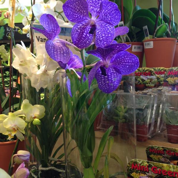 Photo taken at Whole Foods Market by Dianna C. on 7/13/2013