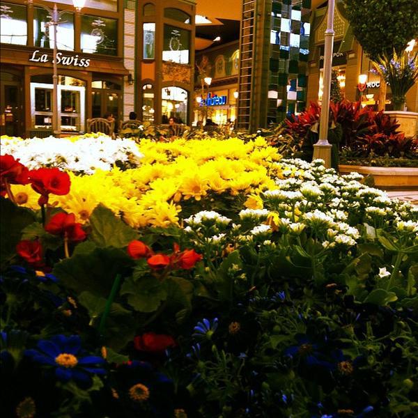 Photo taken at Carrefour Laval by Nayda N. on 3/10/2012