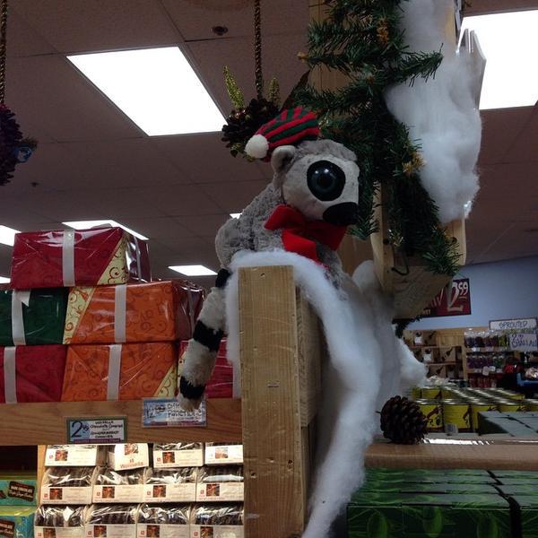 Photo taken at Trader Joe's by Bradley on 12/22/2014