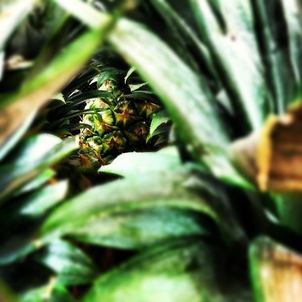 Photo taken at Trader Joe's by Sam S. on 10/4/2012