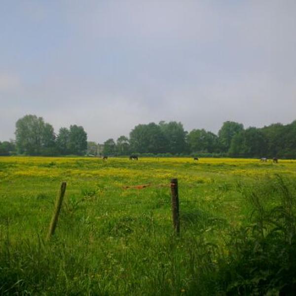 Photo taken at Beeckestijn by Erwin G. on 5/28/2012-荷兰北荷兰省费尔森瑞杰克斯路134号 Photo taken at Beeckestijn by Erwin G. on 5/28/2012