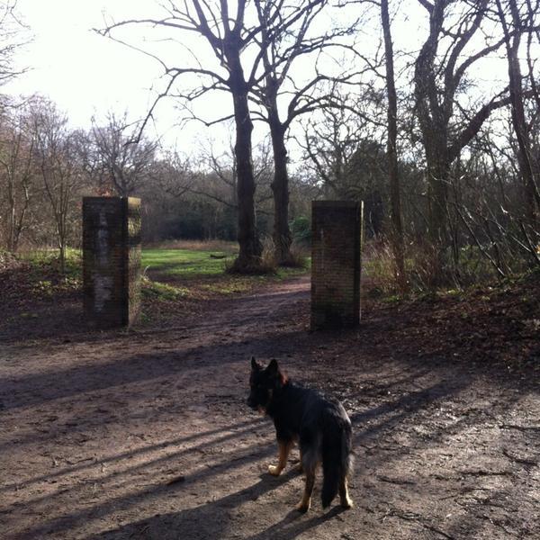 Photo taken at Beeckestijn by Angelique v. on 1/10/2013-荷兰北荷兰省费尔森瑞杰克斯路134号 Photo taken at Beeckestijn by Angelique v. on 1/10/2013