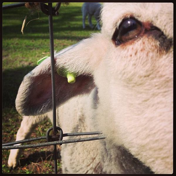 Photo taken at Beeckestijn by Martin N. on 5/1/2013-荷兰北荷兰省费尔森瑞杰克斯路134号 Photo taken at Beeckestijn by Martin N. on 5/1/2013