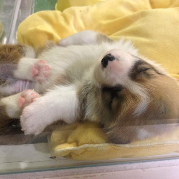 Photo taken at 이마트 트레이더스 (E-mart Traders) by Minsoon P. on 3/24/2013-京畿道龙仁兴区2457易买得超市 Photo taken at 이마트 트레이더스 (E-mart Traders) by Minsoon P. on 3/24/2013