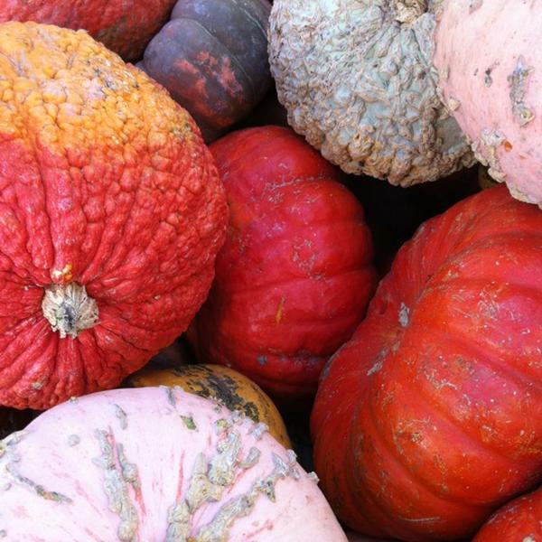 Photo taken at Trader Joe's by Denise S. on 10/21/2012-美国加利福尼亚州亨廷顿比奇阿尔冈金街16821 Photo taken at Trader Joe's by Denise S. on 10/21/2012