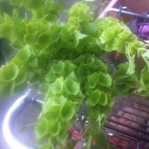 Photo taken at Trader Joe's by Ana B. on 3/12/2012