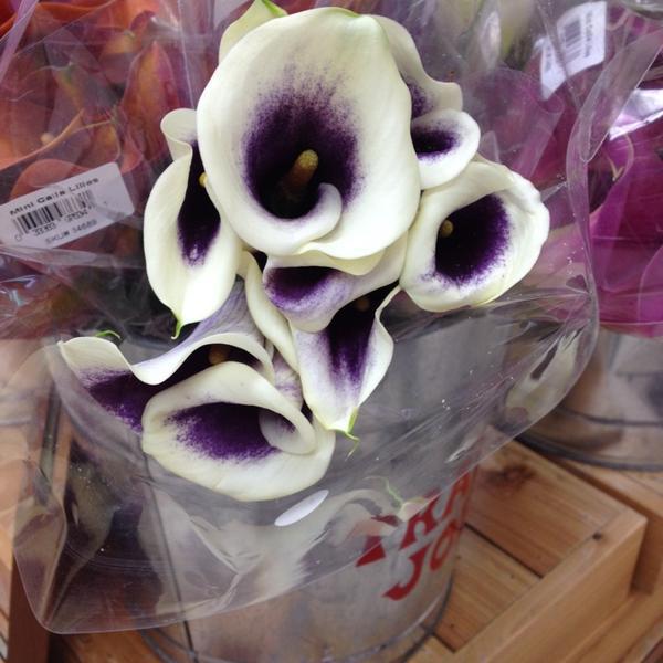 Photo taken at Trader Joe's by Amanda C. on 11/30/2013-美国马萨诸塞州弗雷明汉伍斯特路659 Photo taken at Trader Joe's by Amanda C. on 11/30/2013