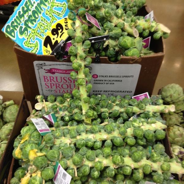 Photo taken at Trader Joe's by Yi-Fen S. on 10/7/2012