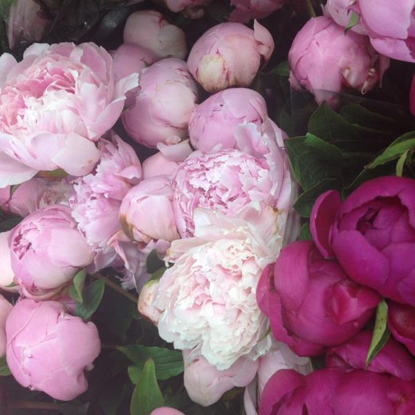 Photo taken at Trader Joe's by Arlene on 6/7/2013