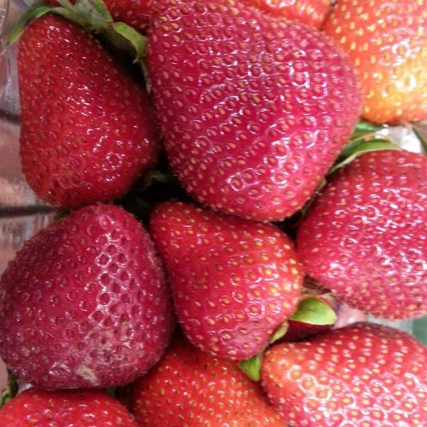 Photo taken at Whole Foods Market by Kelly L. on 7/20/2013