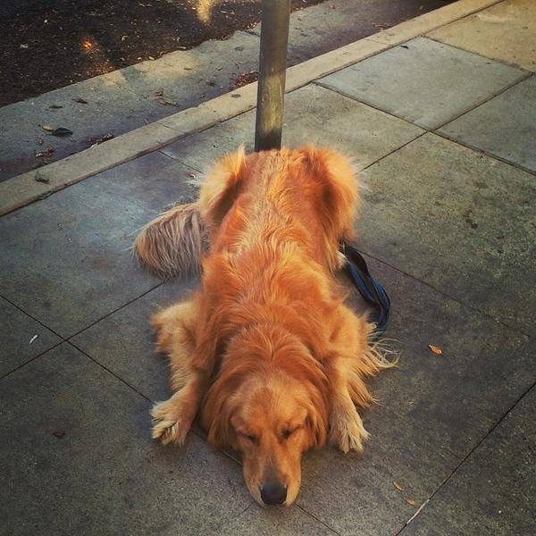 Photo taken at Whole Foods Market by Edward L. on 10/5/2014