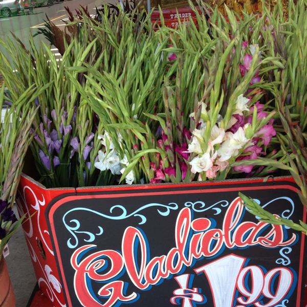 Photo taken at Trader Joe's by Anea K. on 8/4/2013-美国加利福尼亚州佩塔卢马麦克道尔大道南169 Photo taken at Trader Joe's by Anea K. on 8/4/2013