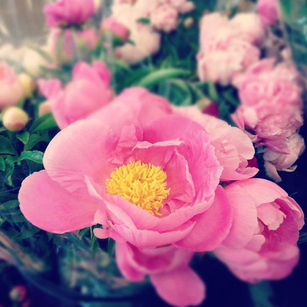 Photo taken at Trader Joe's by Eric T. on 6/6/2012