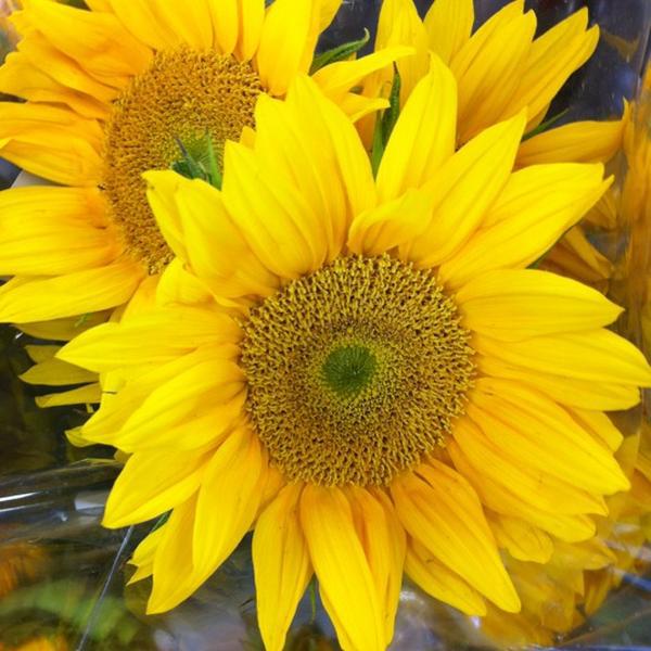 Photo taken at Trader Joe's by Dan K. on 5/11/2012