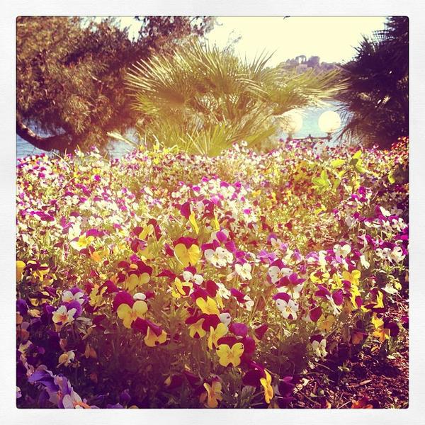 Photo taken at Casino Partouche de Bealieu-sur-Mer by Carlotta V. on 3/31/2013