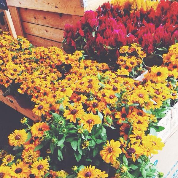 Photo taken at Trader Joe's by Claudia D. on 8/27/2014