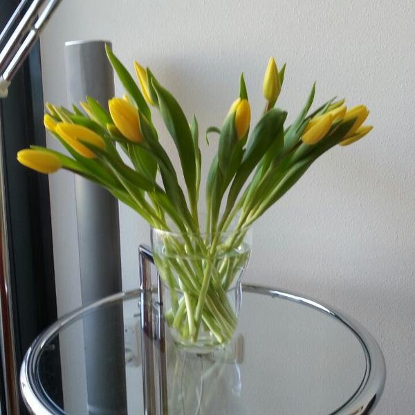 Photo taken at Albert Heijn by Marco T. on 2/5/2014