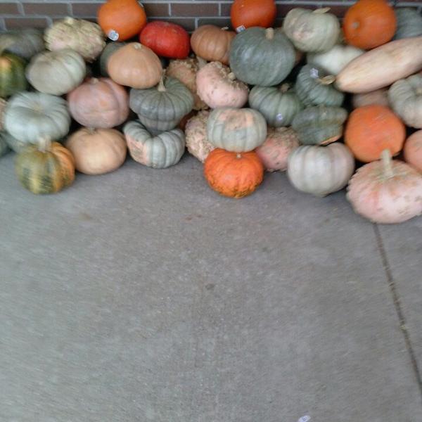 Photo taken at Trader Joe's by craig r. on 11/5/2013-美国密歇根州罗彻斯特山沃尔顿大道3044 Photo taken at Trader Joe's by craig r. on 11/5/2013