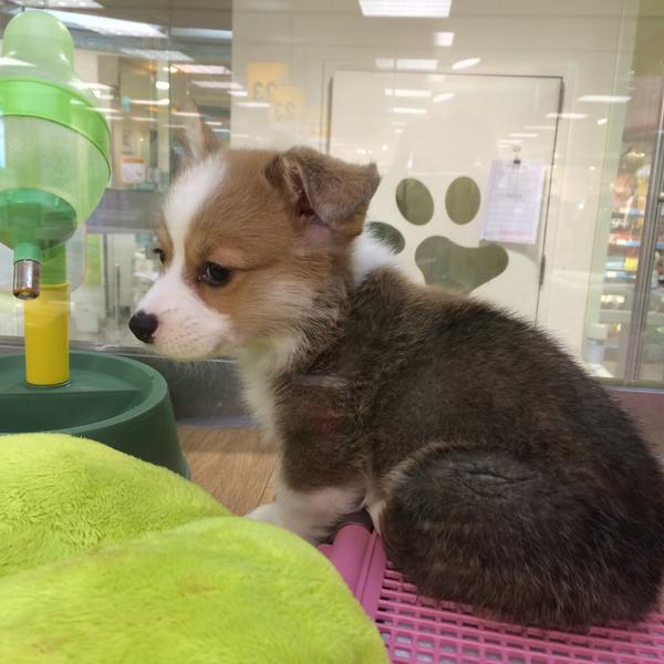 Photo taken at 이마트 (E-Mart) by Jieun Y. on 2/4/2015-京畿道城南盆塘区134易买得超市 Photo taken at 이마트 (E-Mart) by Jieun Y. on 2/4/2015