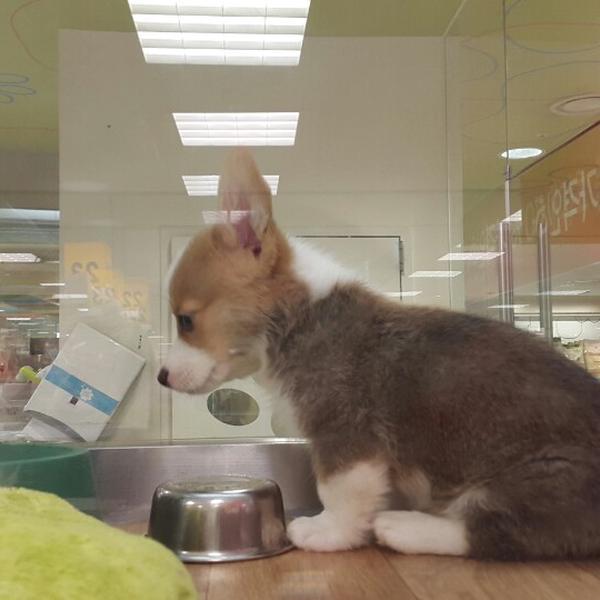 Photo taken at 이마트 (E-Mart) by Songyi P. on 2/16/2015-京畿道城南盆塘区134易买得超市 Photo taken at 이마트 (E-Mart) by Songyi P. on 2/16/2015