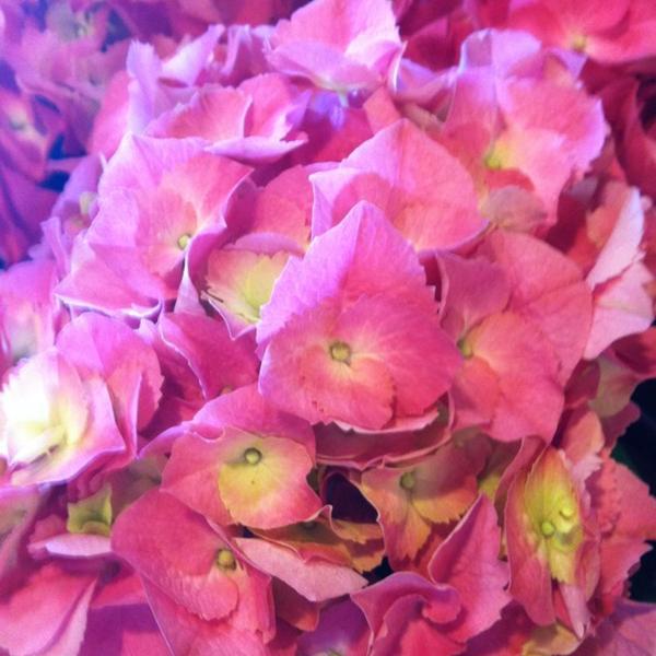 Photo taken at Whole Foods Market by Sally 3. on 3/22/2012-美国康涅狄格州西港后道西399 Photo taken at Whole Foods Market by Sally 3. on 3/22/2012