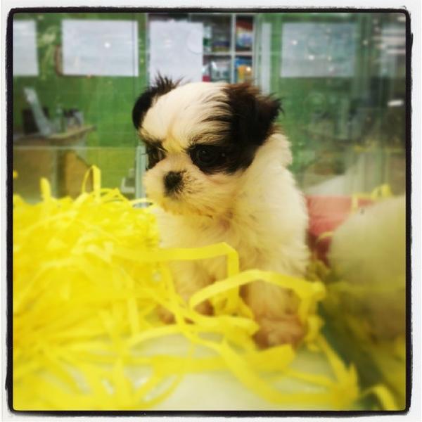 Photo taken at 홈플러스 (Home plus) by AA M. on 3/26/2014-首尔市九老区京仁路661号(新道林店) Photo taken at 홈플러스 (Home plus) by AA M. on 3/26/2014