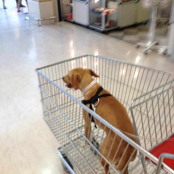 Photo taken at Bennet by Stella S. on 7/12/2013-意大利伦巴第皮耶韦菲西拉加 Photo taken at Bennet by Stella S. on 7/12/2013