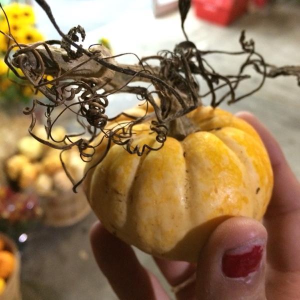 Photo taken at Trader Joe's by Hannah J. on 10/17/2014